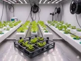 Seed Planter-1