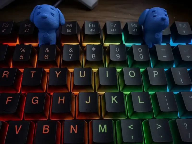 keyboard pup