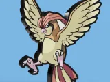 Pidgeotto Lightbox-0