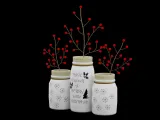 Christmas Jars-3
