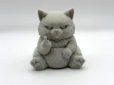 Grumpy Fluff Kitten-1