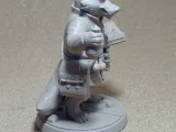Raposa alquimista-5