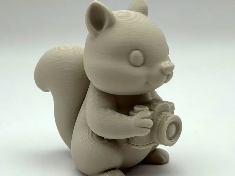 Cute Squirrel Photographer