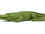Crocodile-5