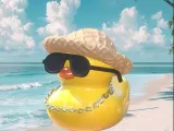 Chill duck (Standing)-0