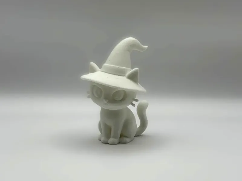 Cat in Witches Hat