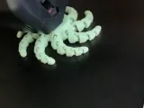 flexi octopus-2
