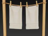 clothesline / Wäscheleine-0
