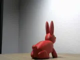 Rabbit-2