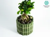 Self-Watering Plant Pot With Bamboo Buddy! Planter STL & 3MF-9