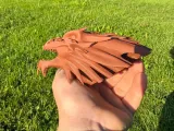 Dragon head-5