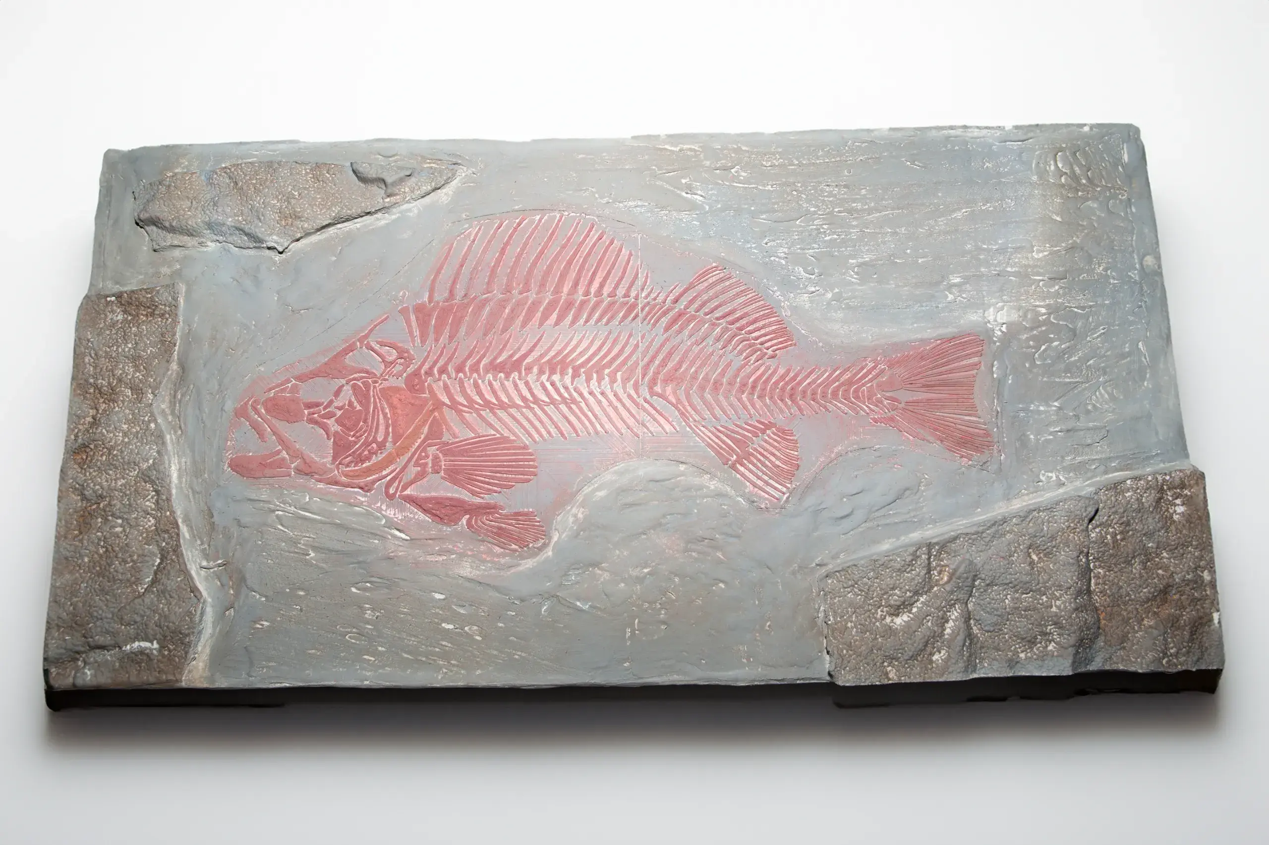 Fossil Fish Replica – Paleoart Wall Display