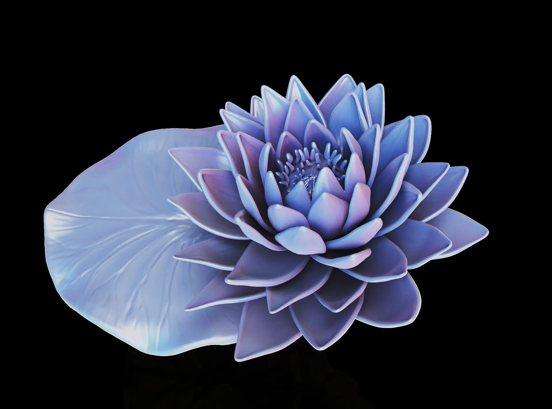 Lotus flower