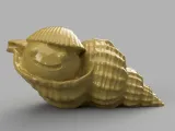 Whelk bulot shell coquillage-4