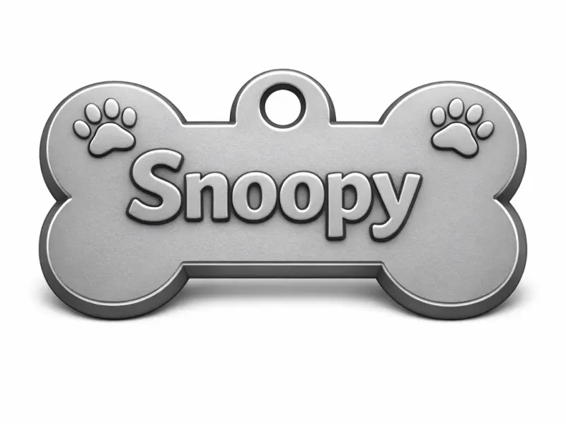 Snoopy Hundemarke