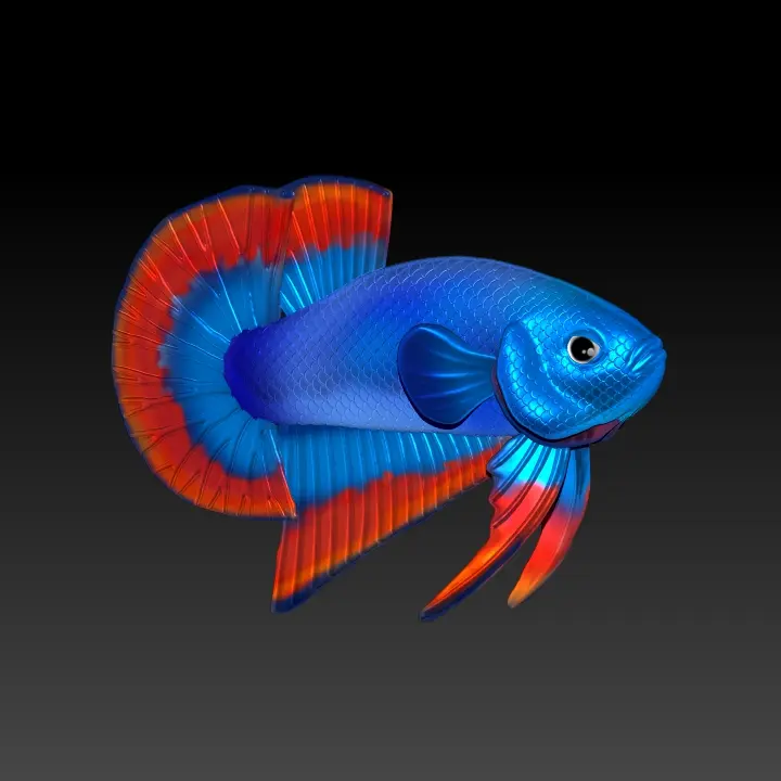 BETTA FISH 2