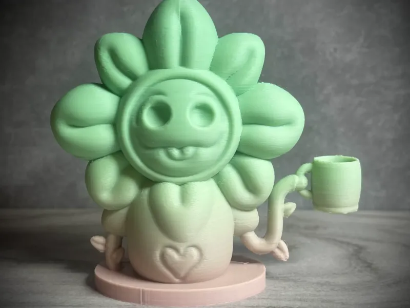 Homem das flores