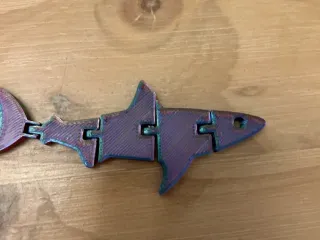 Flexi Shark (Simple)