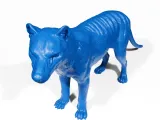 Tasmanian tiger-7