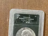 Tornado Money-4