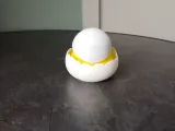 Cute Hatching Chick in Egg-3