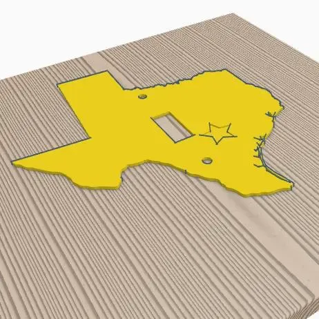 Texas shaped light switch cover