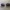 Housse de feux de gabarit / de marquage Ford Focus MK2 (facelift)