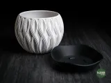 velar • planter-6