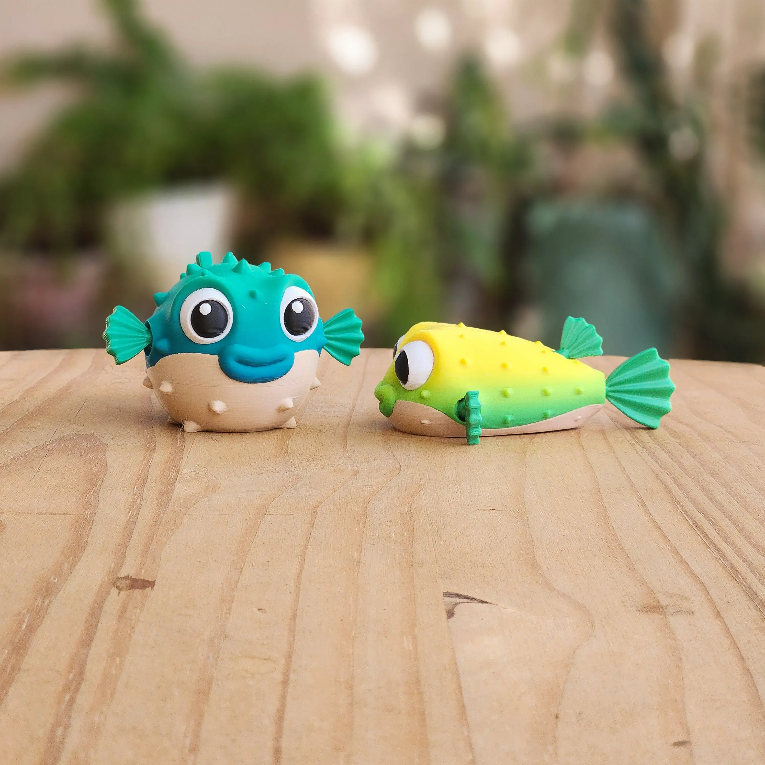 PUFFER FISH