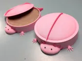 Axolotl Sandbox-8