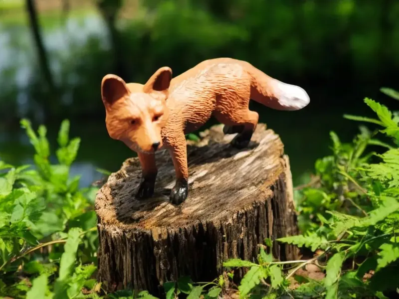 Red fox