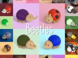 Beetles-0
