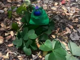 Snorlax Cadeau-3