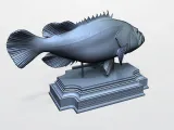GROUPER-4