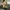 Leathlo – #20 Horror Blobs Collection