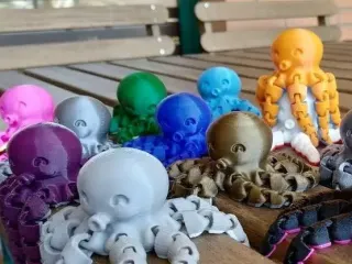 octopus