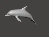 DOLPHIN 3D MODEL-0