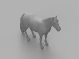 Horse-2