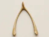 Breakable Wishbone-1