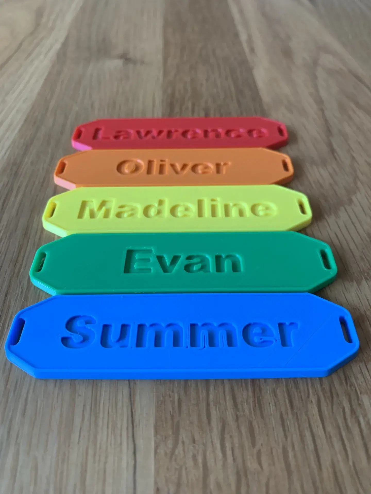 Personalised Bag Tags (with names)