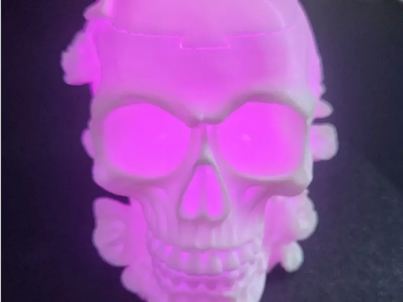 Remix de Calavera Floral
