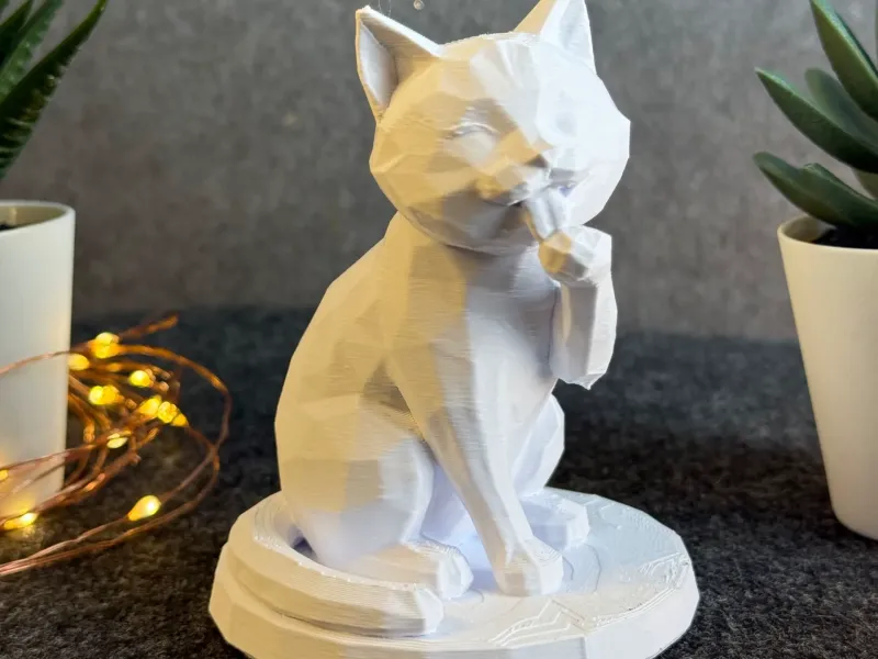 Cute Cat