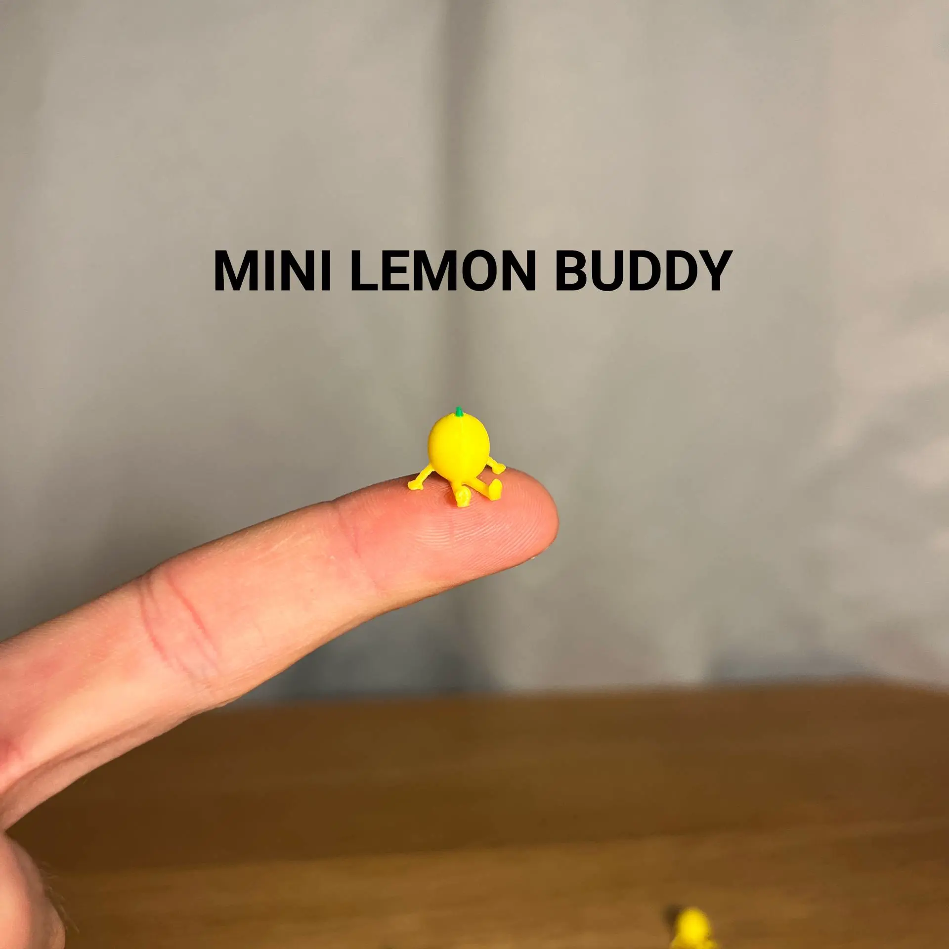 Mini Lemon Buddy