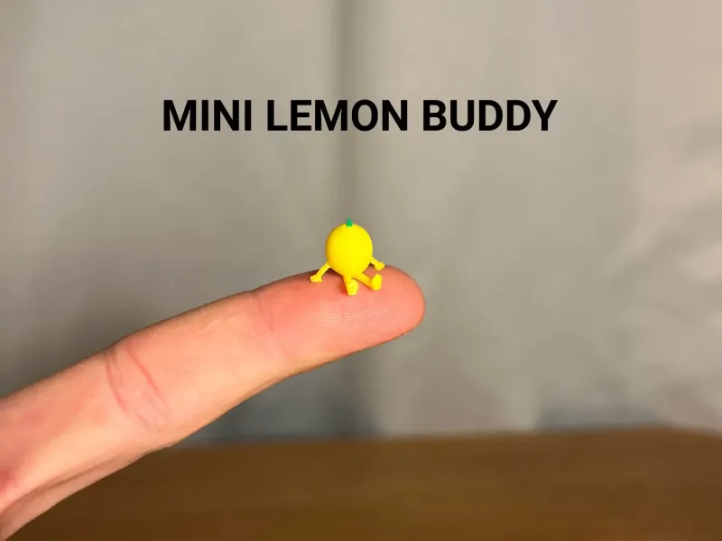 Mini Lemon Buddy