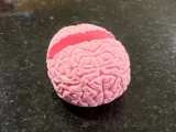Brain phone stand-2