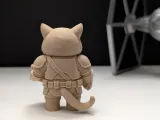 Grumpy Cat Mandalorian-5