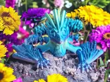 Flower Sprite-0