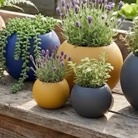 Mini vaso