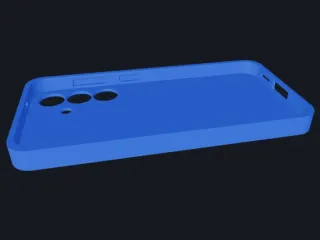 s25 case