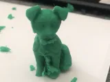 Yorkshire Terrier-3